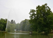 MON_7454